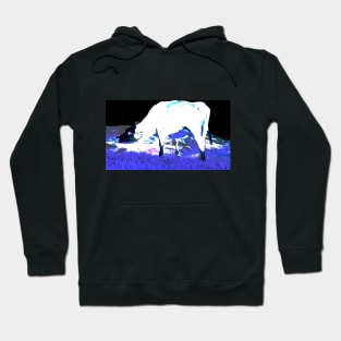 The Bright Cow! Hoodie